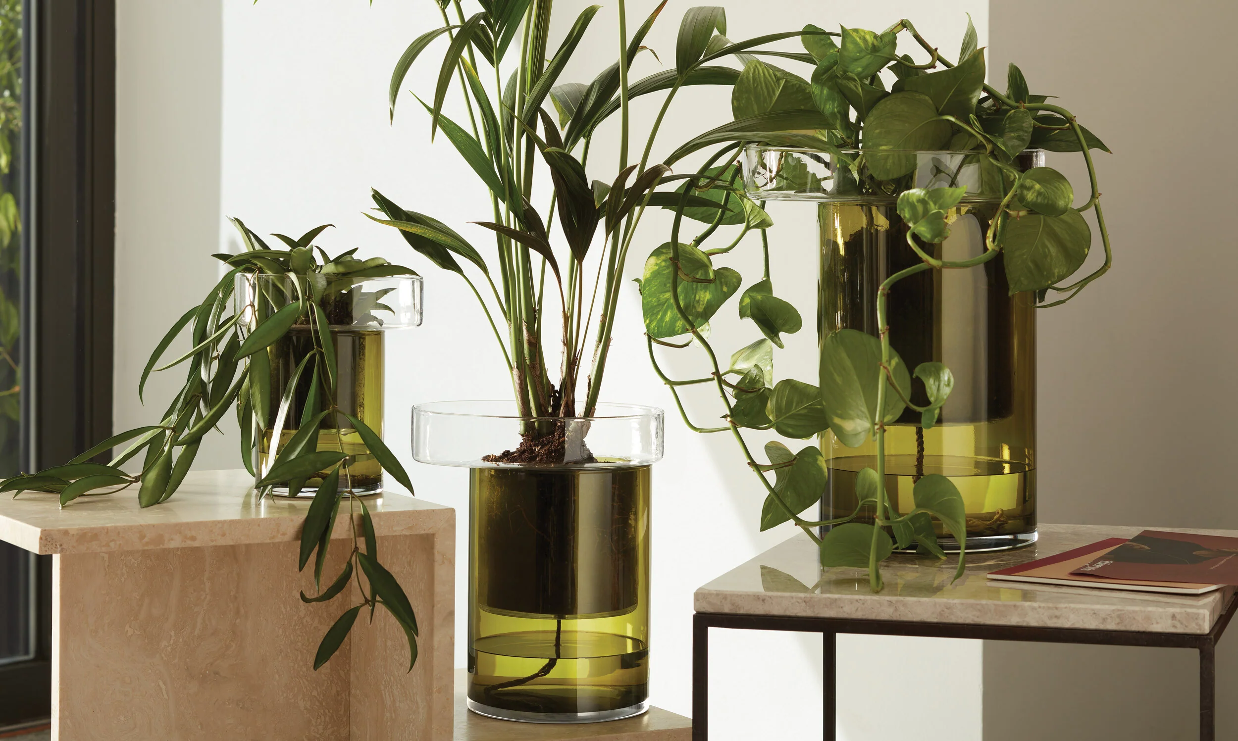 Self Watering Planter - Image 12