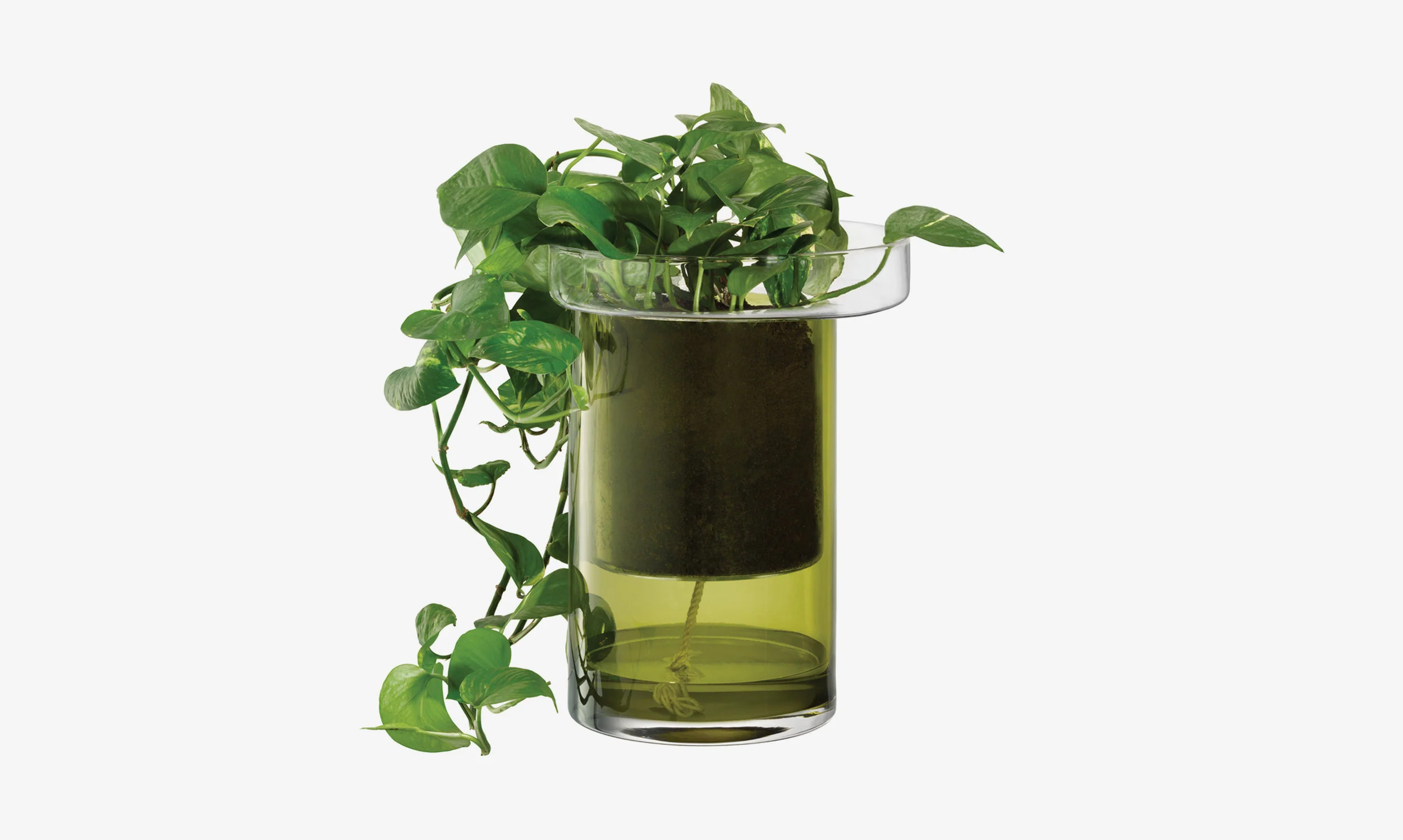 Self Watering Planter - Image 3