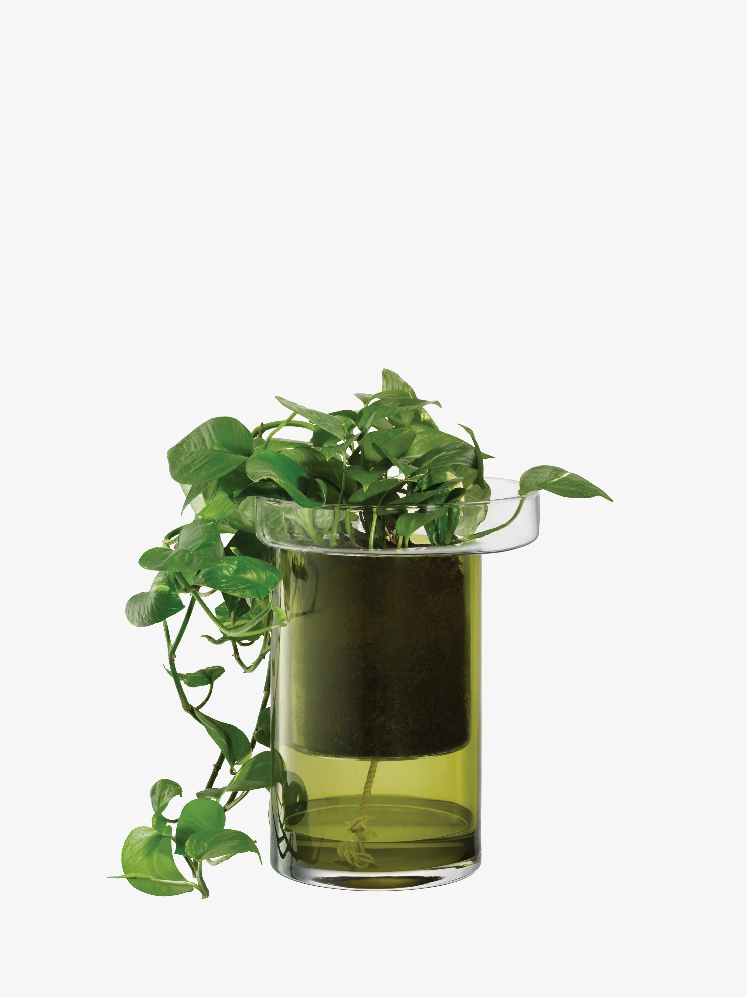 Self Watering Planter - Image 5