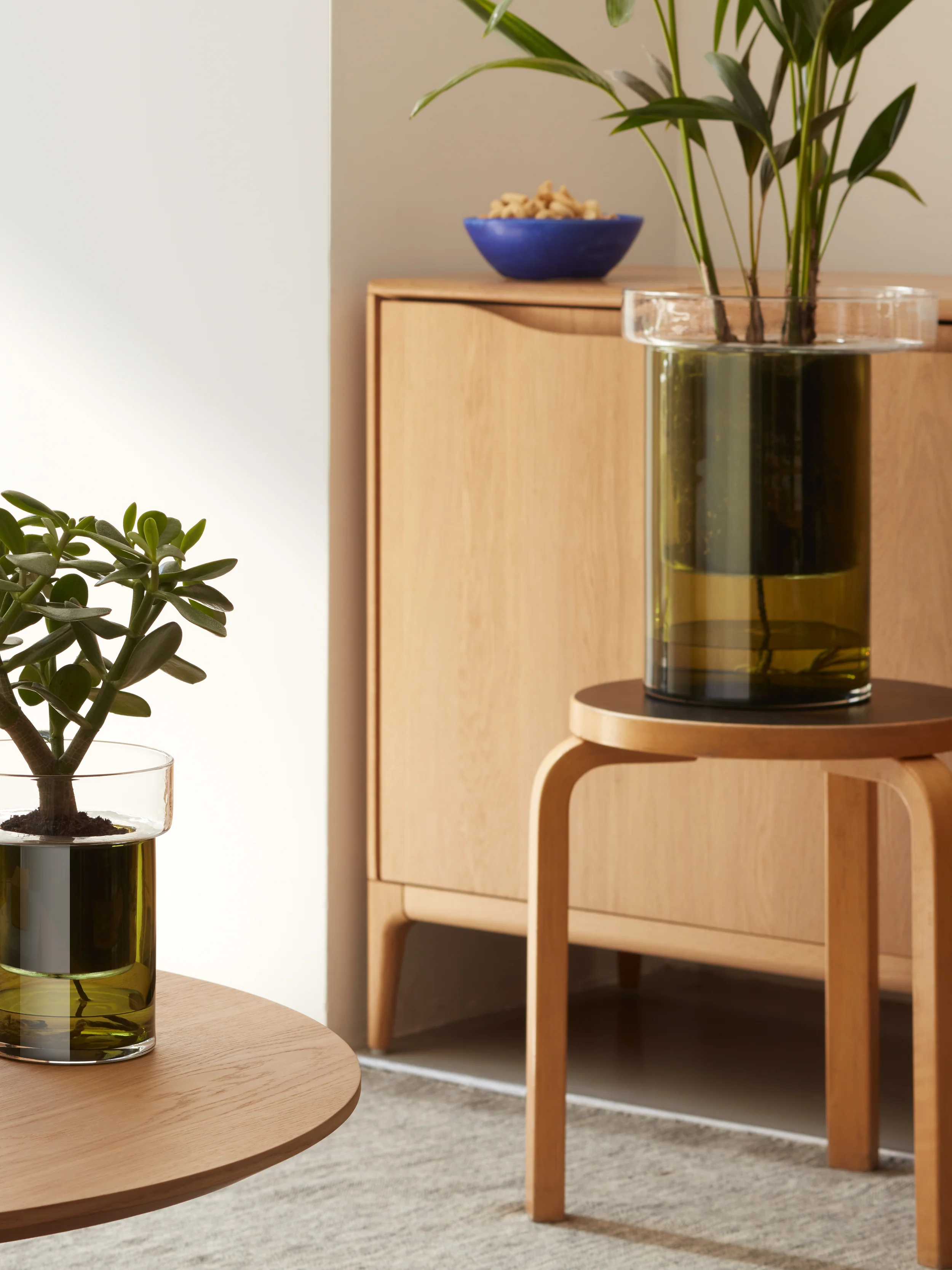 Self Watering Planter - Image 6