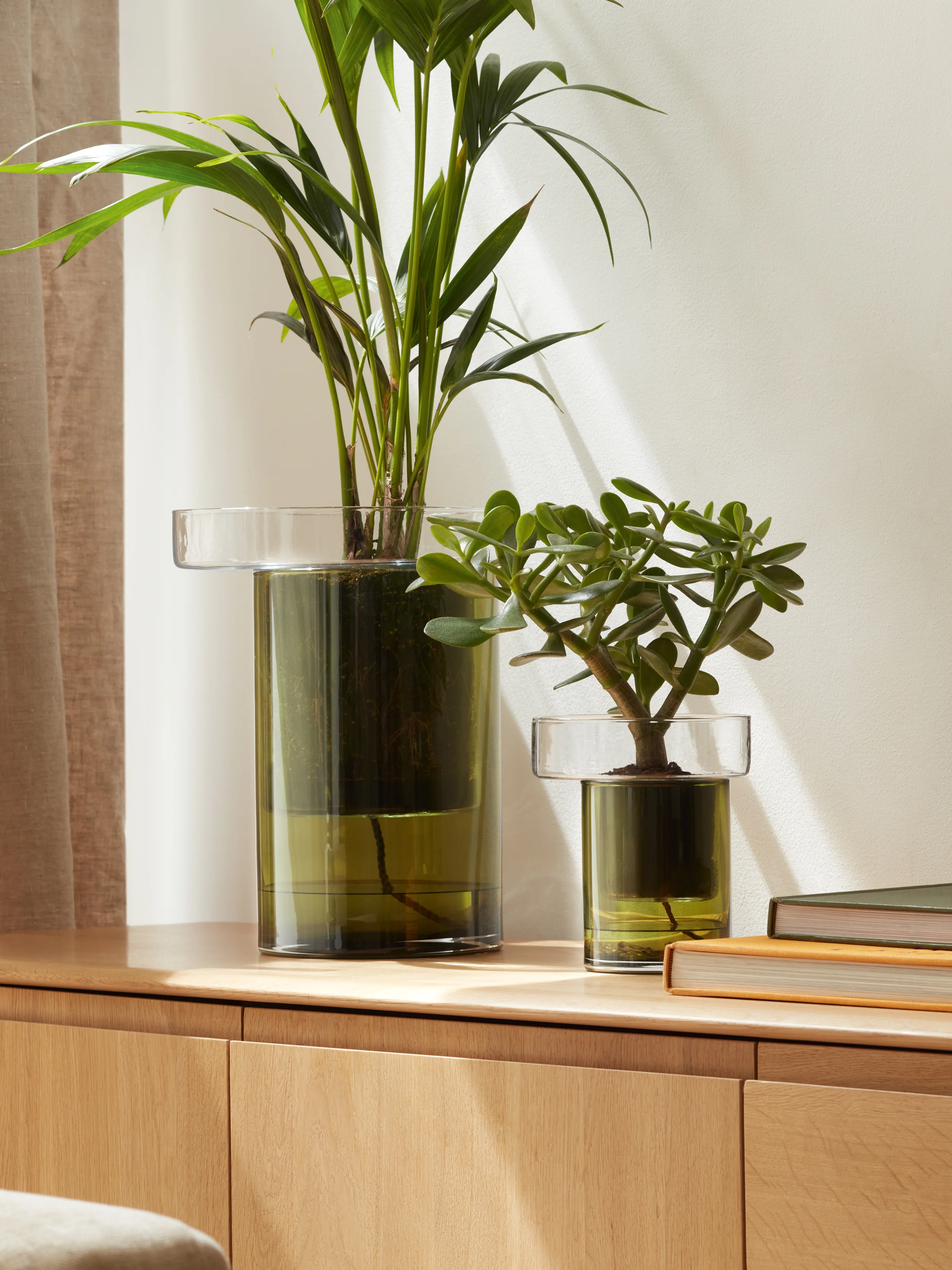 Self Watering Planter - Image 7