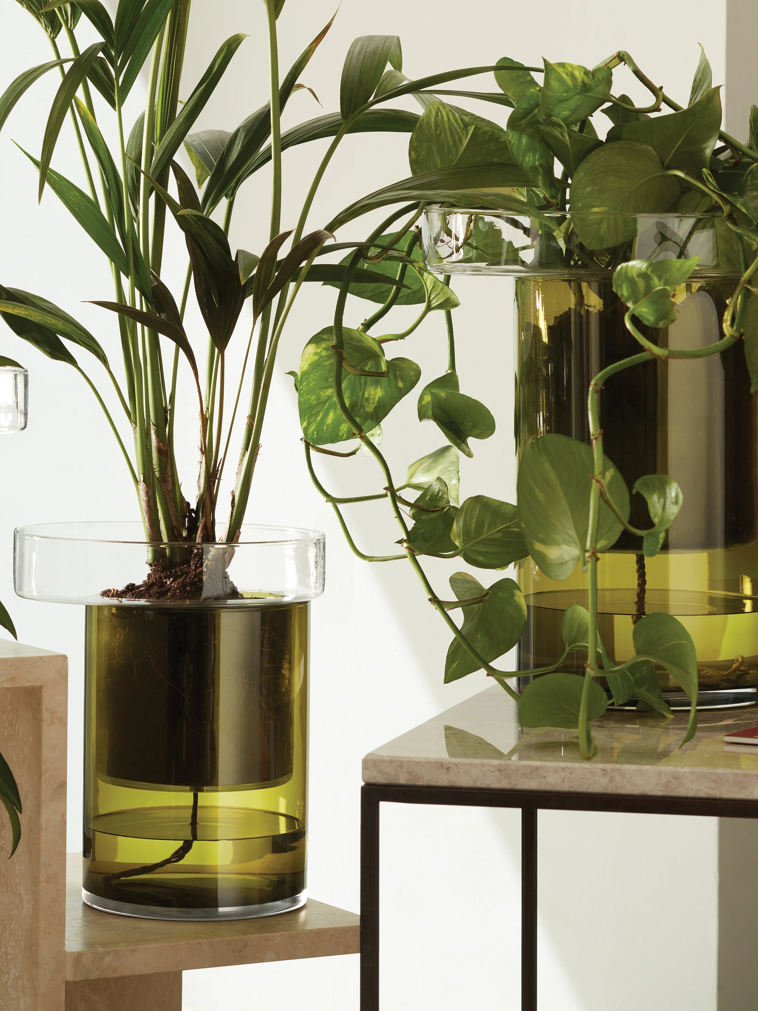 Self Watering Planter - Image 9