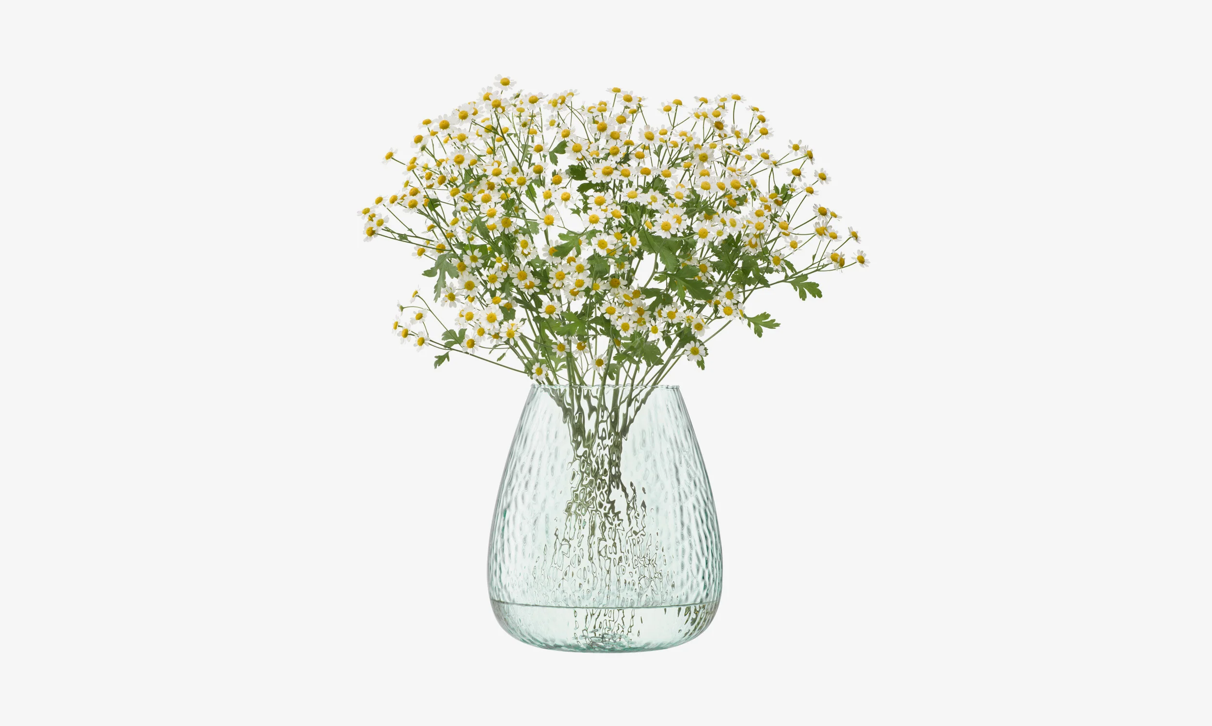 Seed Vase - Image 7