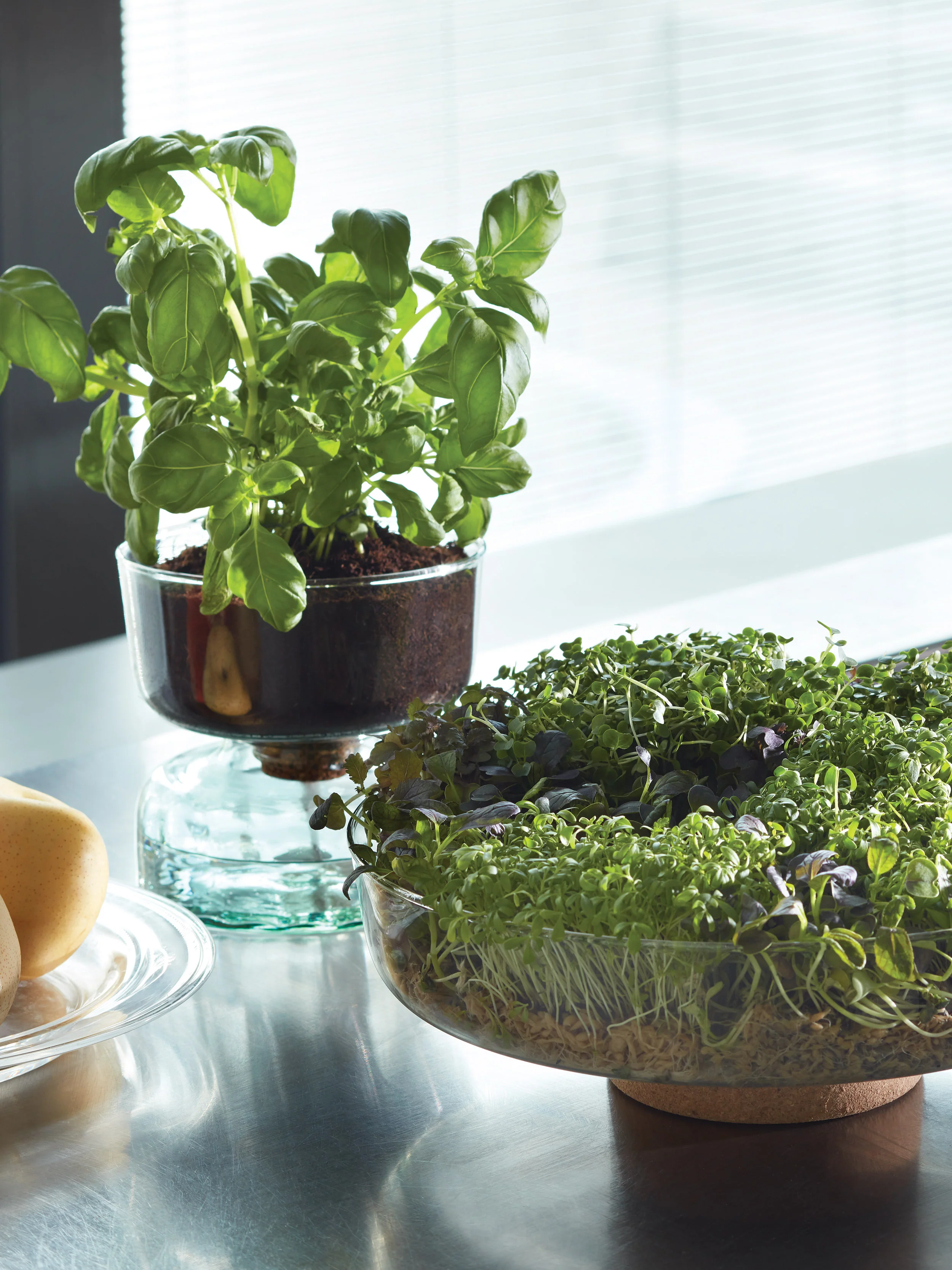 Self Watering Planter Clear/Part Optic - Image 8