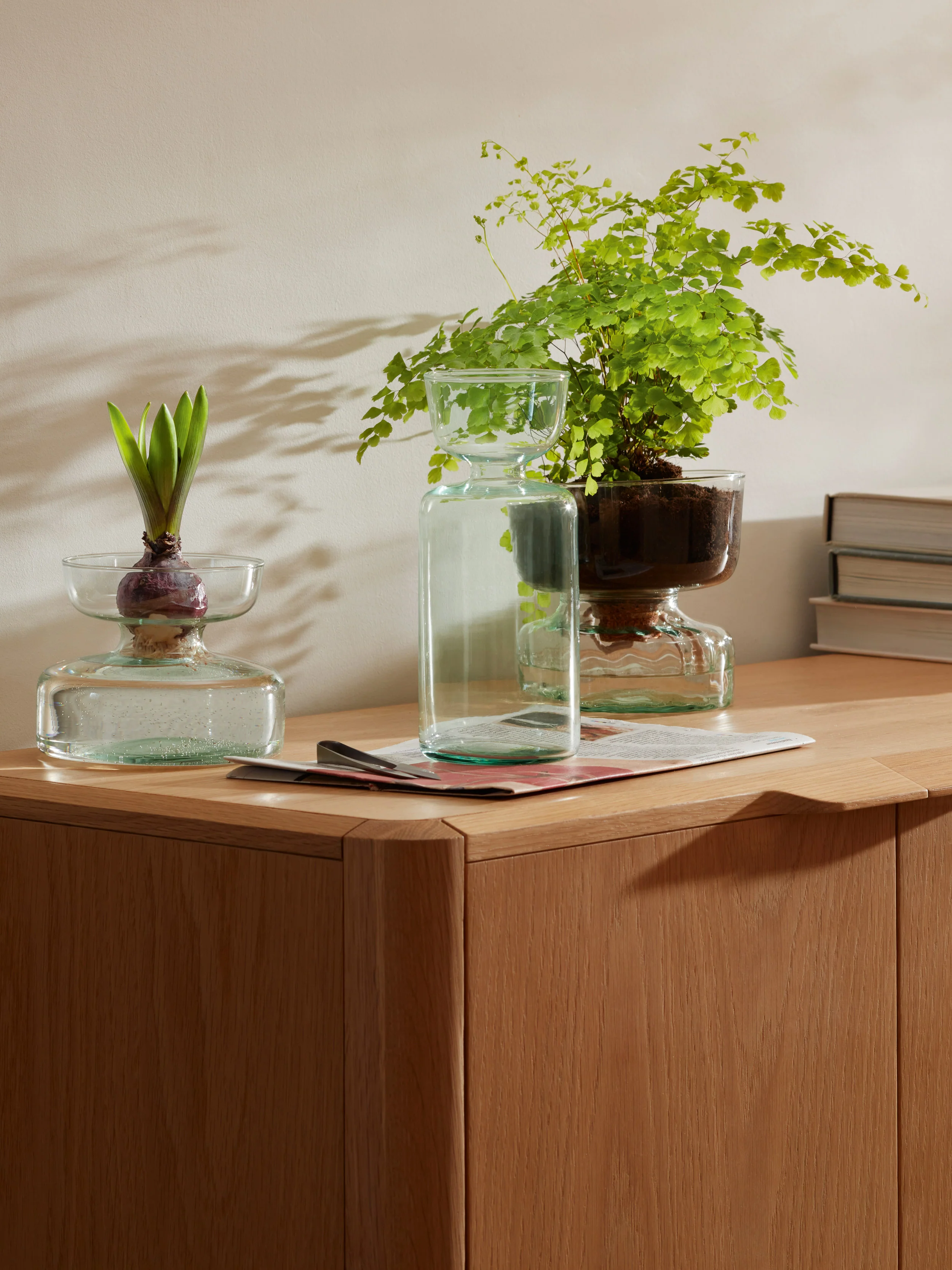 Vase/Bulb Planter - Image 8