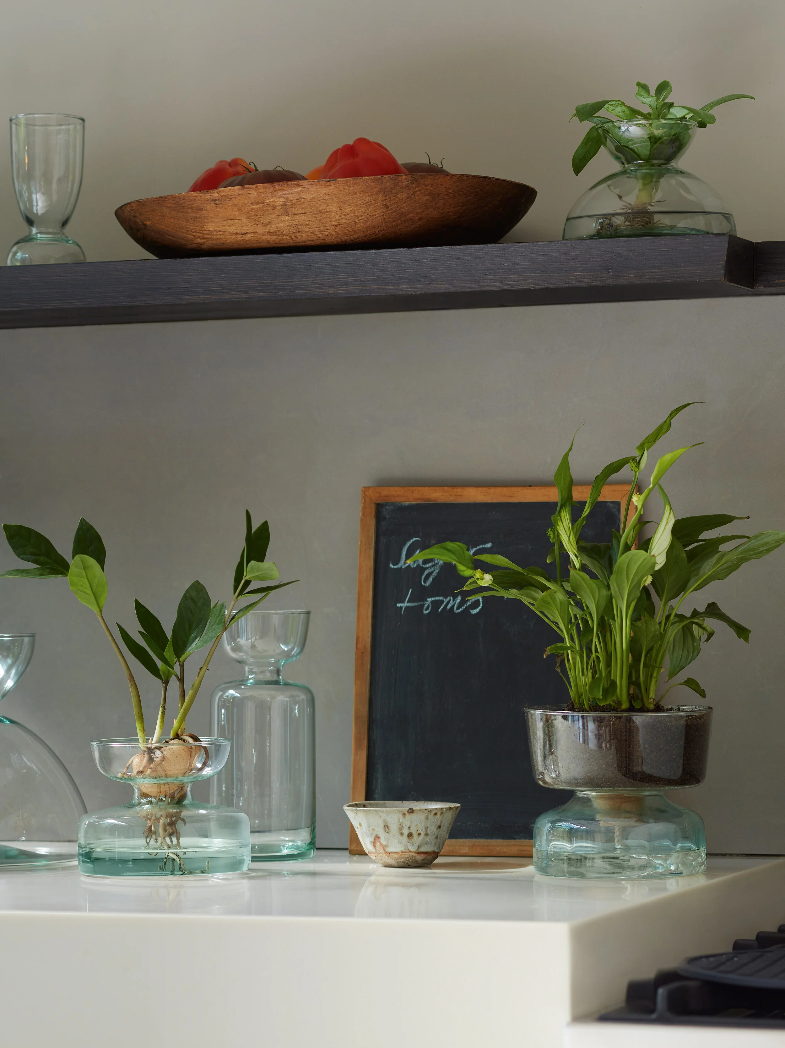 Vase/Bulb Planter - Image 9