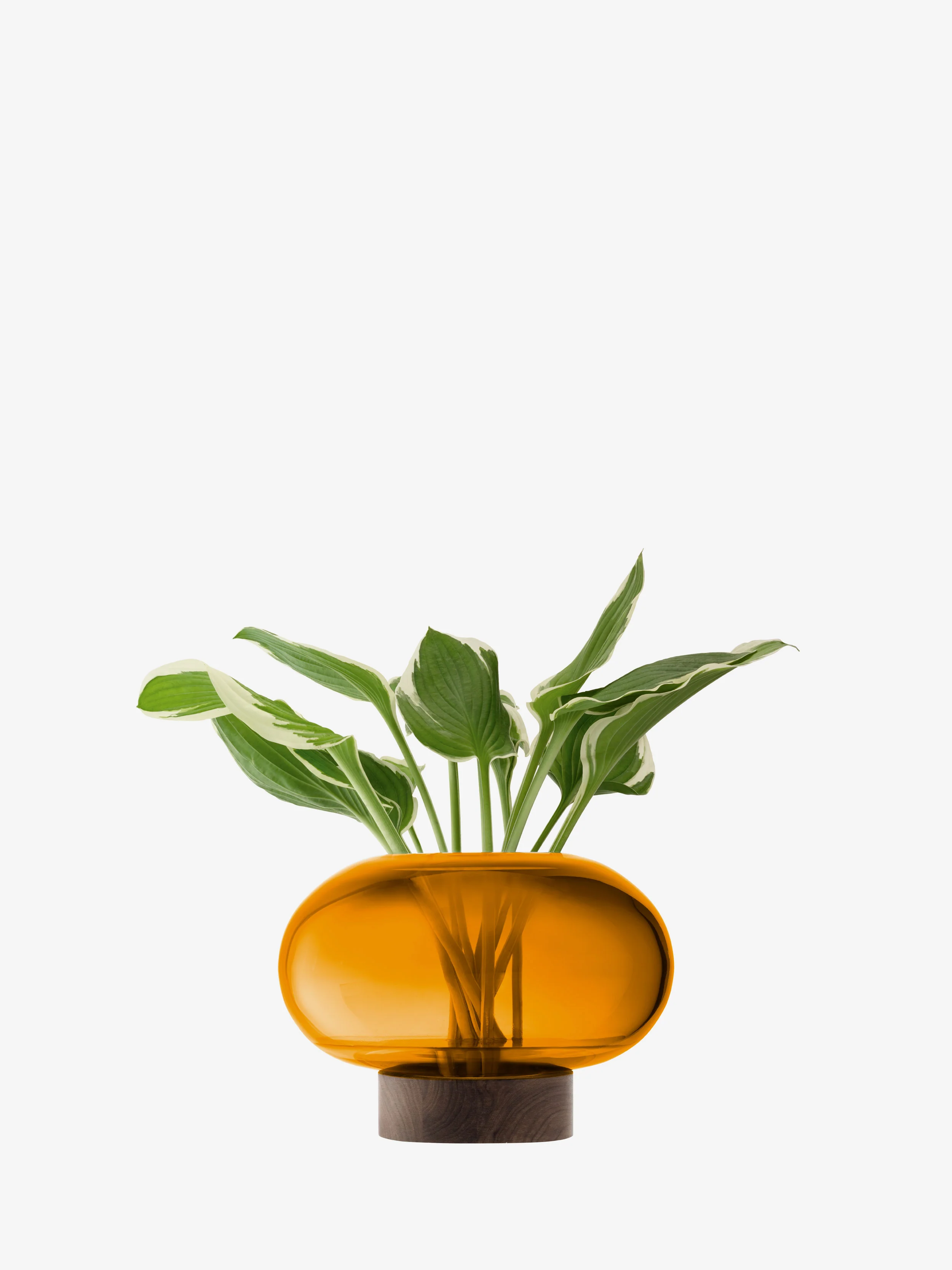 Vase/Lantern - Image 15