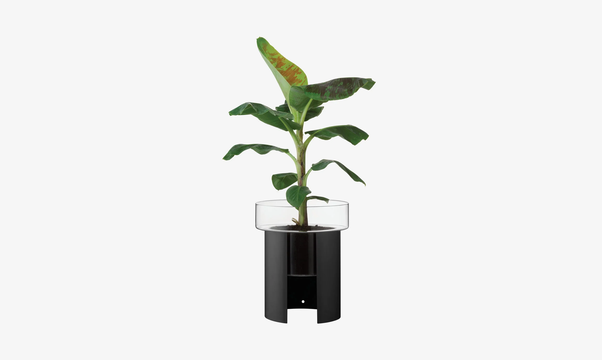 Planter - Image 11