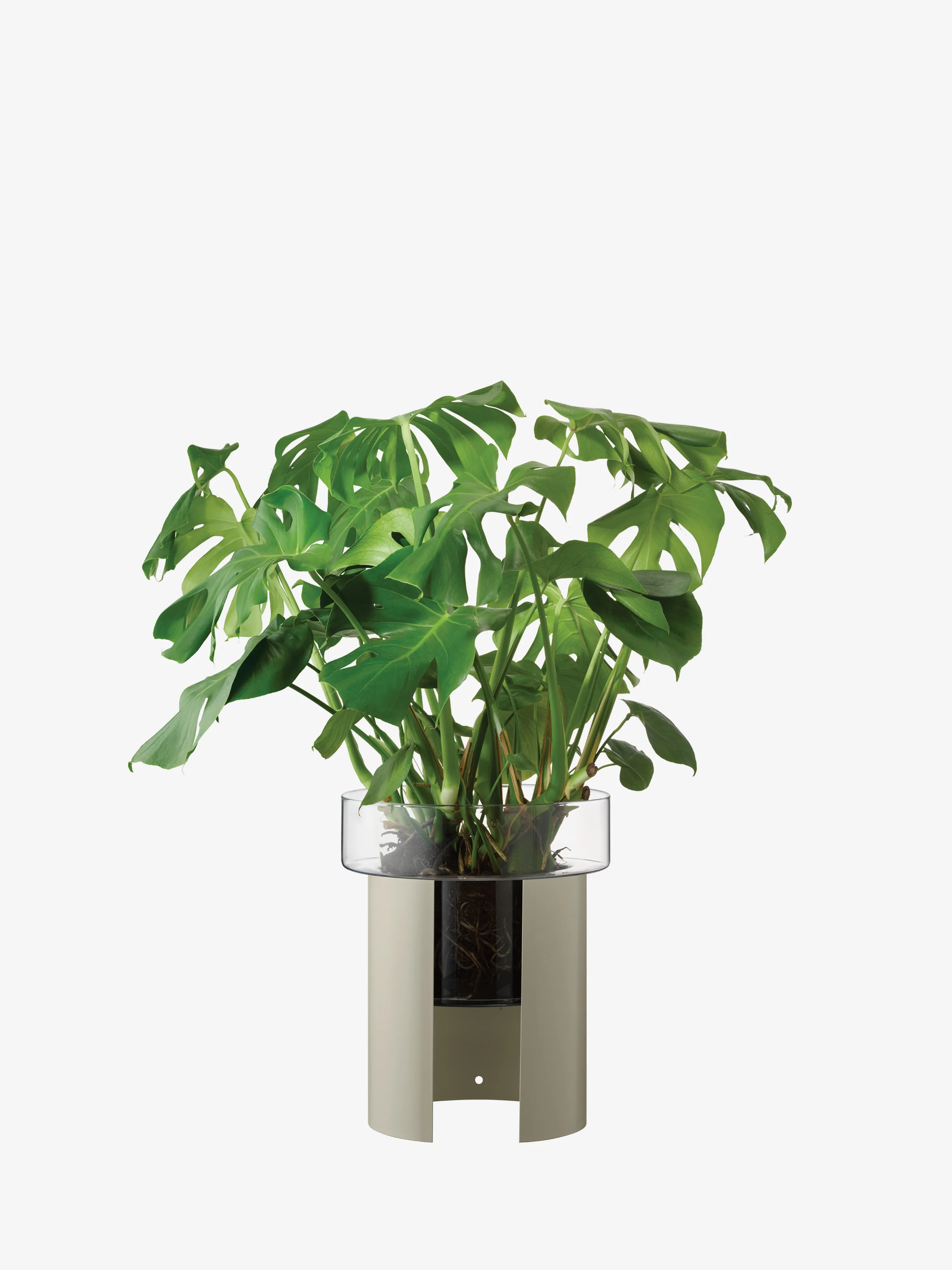 Planter - Image 4