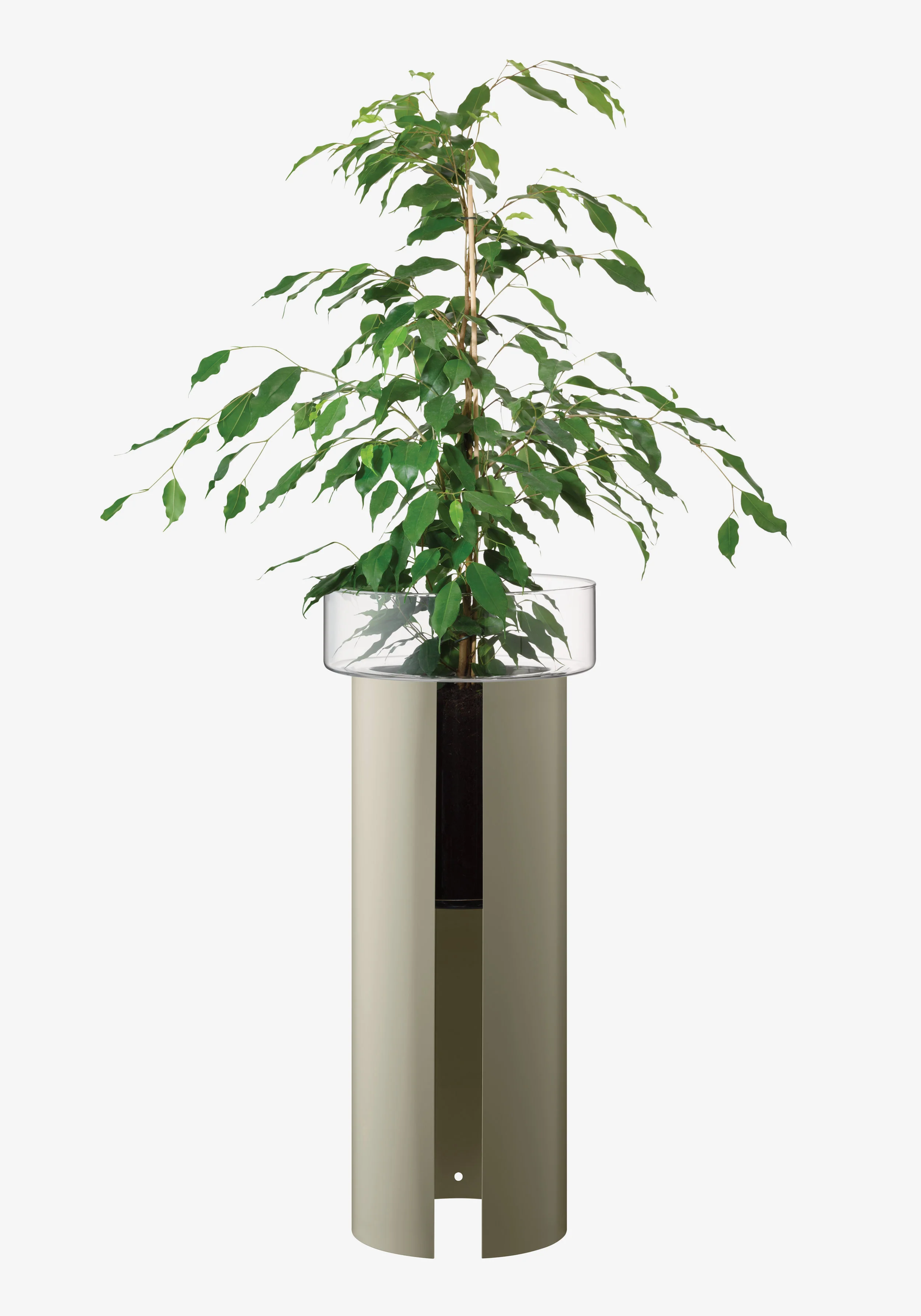 Planter - Image 17